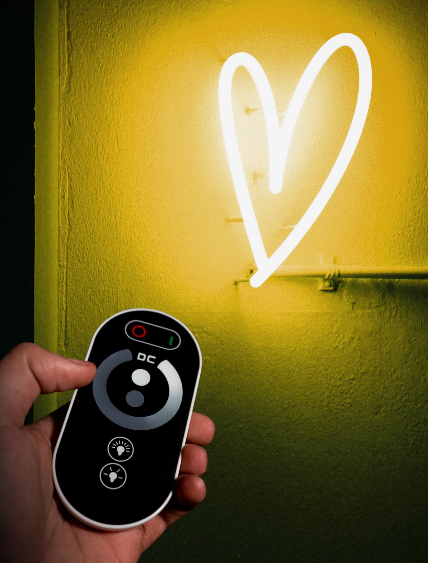 Télécommande RGB et Variateur pour néon LED