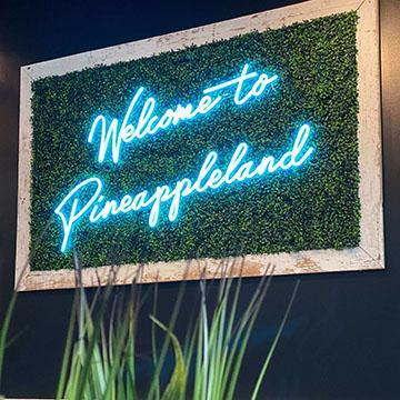 Welcome to Pineappleland