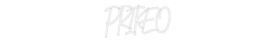 Néon sur mesure : PRIKEO