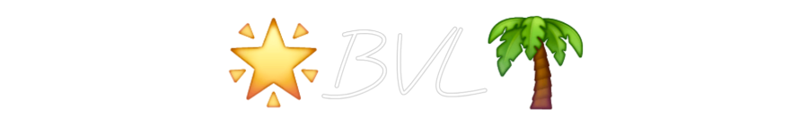 Néon sur mesure : 🌟BVL🌴